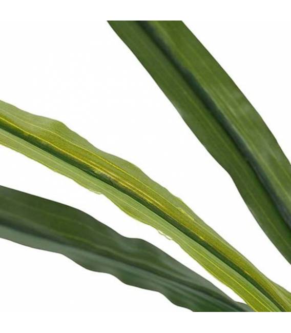 Dirbtinė gėlė ORCHIDĖJA balta