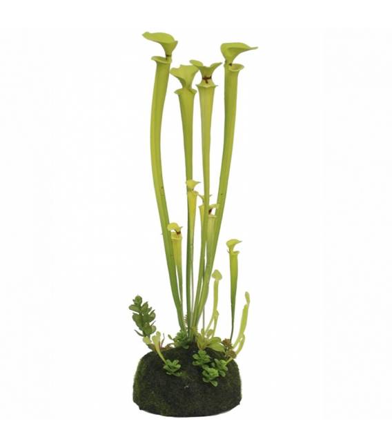 Dirbtinė gėlė SARRACENIA žalia