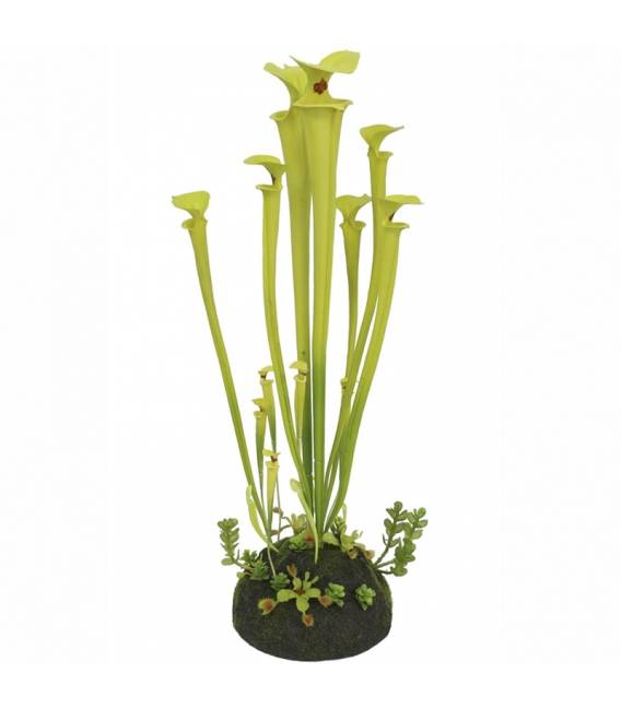 Dirbtinė gėlė SARRACENIA Ø16x60 žalia