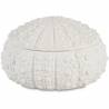Indelis SEA 19x11 baltas