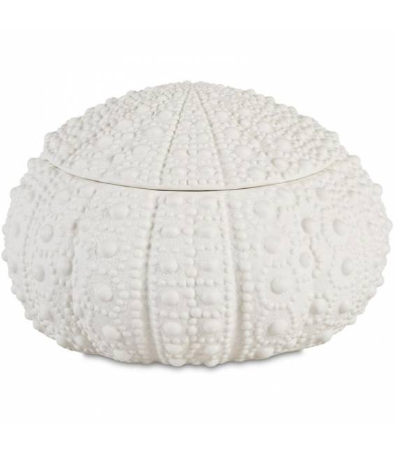 Indelis SEA 23x14 baltas