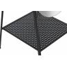 Veidrodis METAL LADDER 45x162 juodas