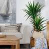 Dirbtinis augalas YUCCA 80x150 žalias