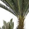 Dirbtinis augalas CYCAS 80x170 žalias