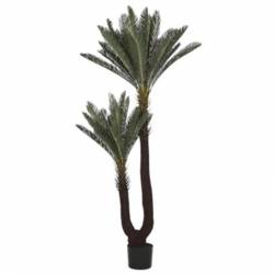 Dirbtinis augalas CYCAS 80x170 žalias