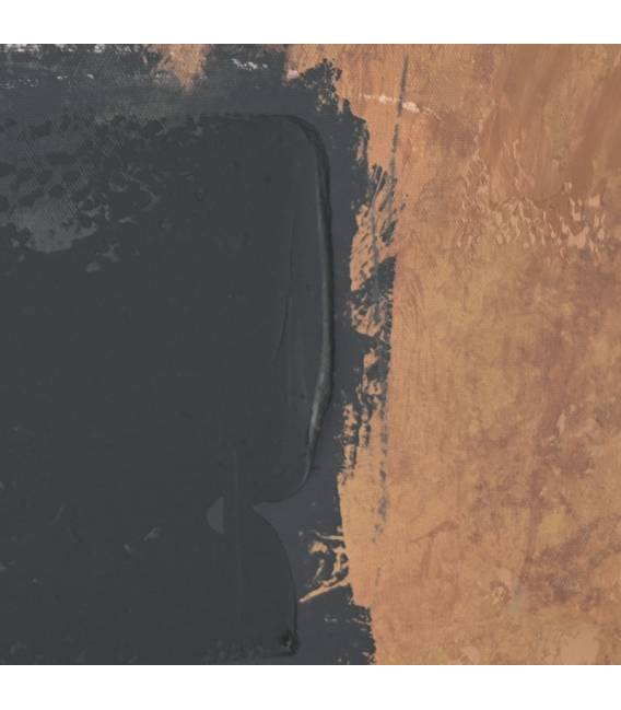 Paveikslas CANVAS VARIEGATED-B 90x120 margas