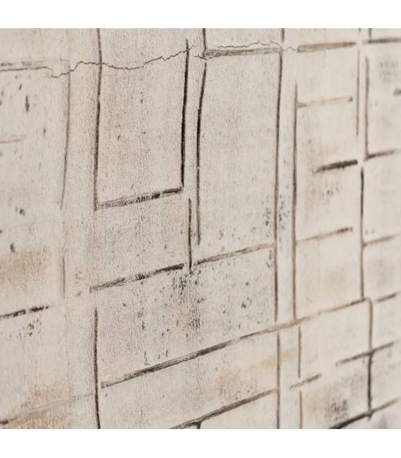 Paveikslas TEXTURE DECO 83x123 beige