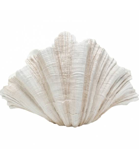 Vaza CONCHA 36x57 balta