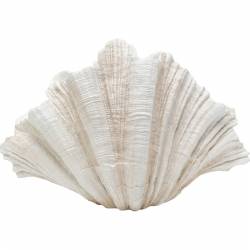 Vaza CONCHA 36x57 balta