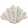 Vaza CONCHA 36x57 balta