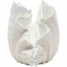 Vaza CONCHA 36x57 balta