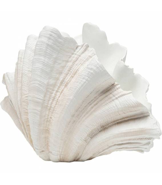Vaza CONCHA 36x57 balta