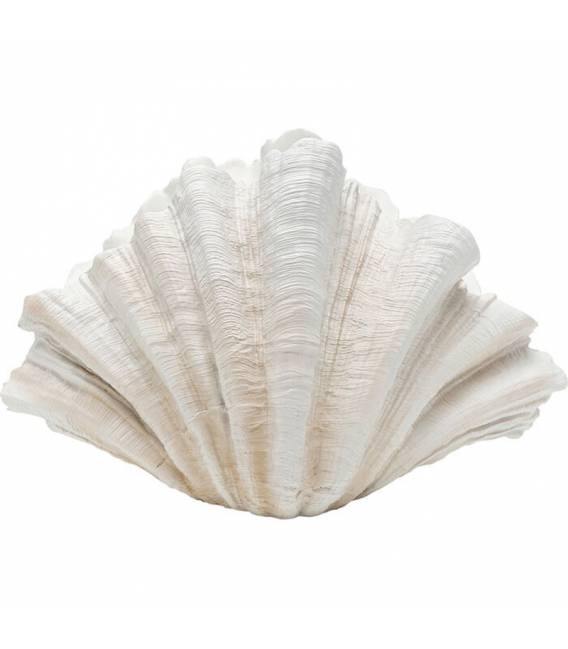 Vaza CONCHA 36x57 balta