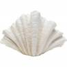 Vaza CONCHA 36x57 balta
