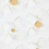 Paveikslas WHITE PETALS 100x100 baltas