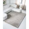 Kilimas ZENA 160x230 pilkas