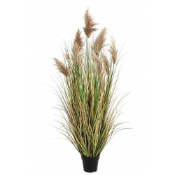 Dirbtinis augalas GYNERIUM PAMPAS H150 smėlio