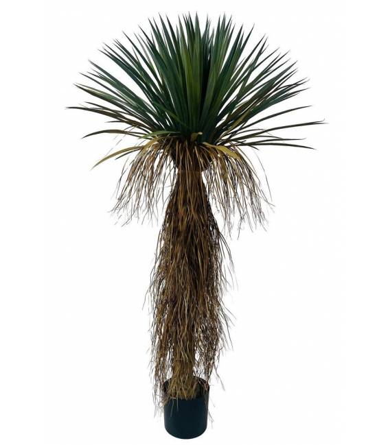 Dirbtinis augalas YUCCA ROSTRATA H150 žalias