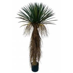 Dirbtinis augalas YUCCA ROSTRATA H150 žalias