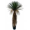Dirbtinis augalas YUCCA ROSTRATA H150 žalias