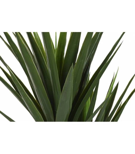 Dirbtinis augalas YUCCA 80x150 žalias
