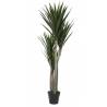 Dirbtinis augalas YUCCA 80x150 žalias