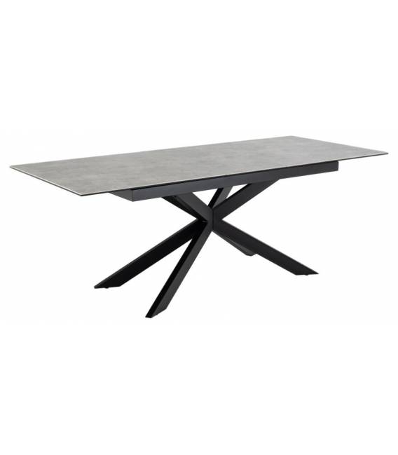 Išskleidžiamas stalas 23566 168(210)x90 pilkas