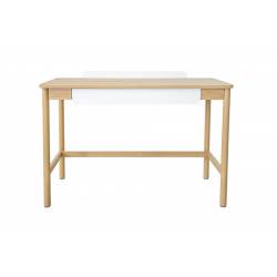 Darbo stalas ALPENA 110x50 šviesiai rudas