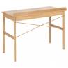 Darbo stalas 100483 110x50 rudas