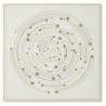 Paveikslas CIRCLE-B 100x100 beige