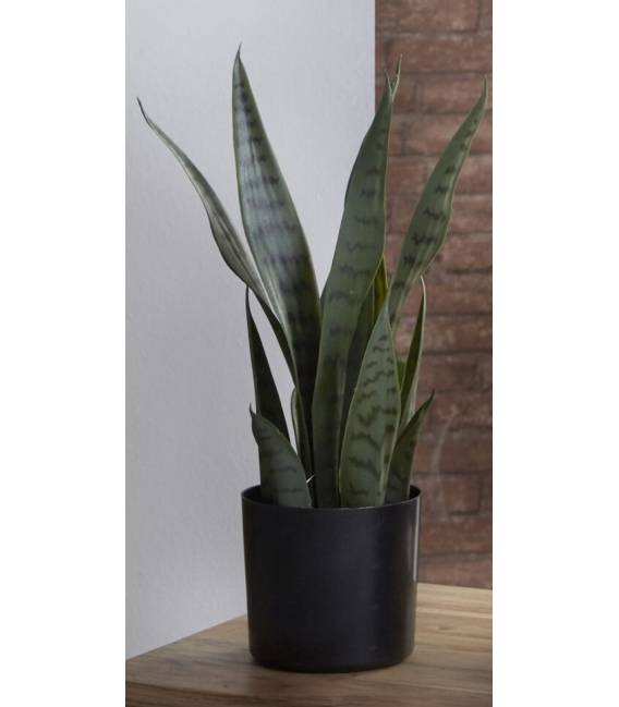 Dirbtinė gėlė SANSEVIERIA 10x42 žalia