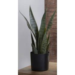 Dirbtinė gėlė SANSEVIERIA 10x42 žalia