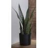 Dirbtinė gėlė SANSEVIERIA 10x42 žalia