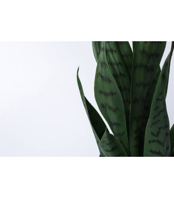 Dirbtinė gėlė SANSEVIERIA 10x42 žalia