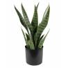 Dirbtinė gėlė SANSEVIERIA 10x42 žalia