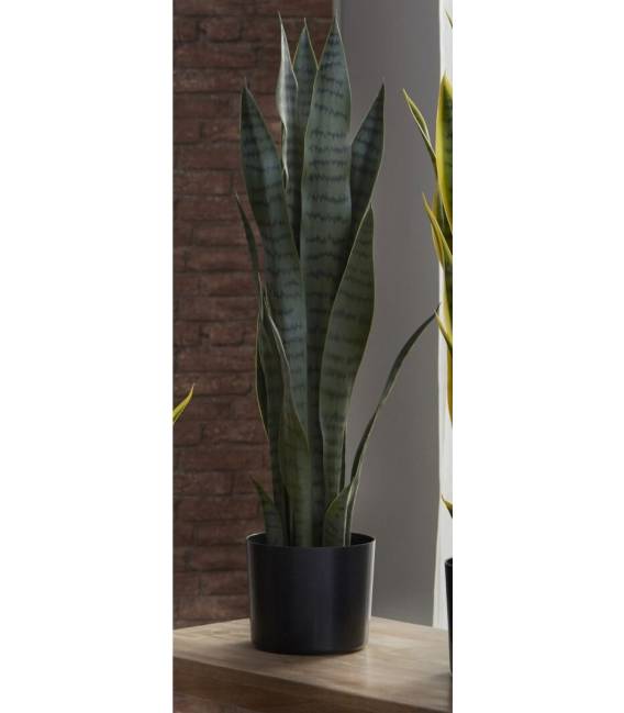 Dirbtinis augalas SANSEVIERIA 12x75 žalias