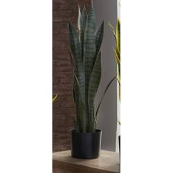 Dirbtinis augalas SANSEVIERIA 12x75 žalias