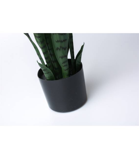 Dirbtinis augalas SANSEVIERIA 12x75 žalias