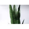 Dirbtinis augalas SANSEVIERIA 12x75 žalias