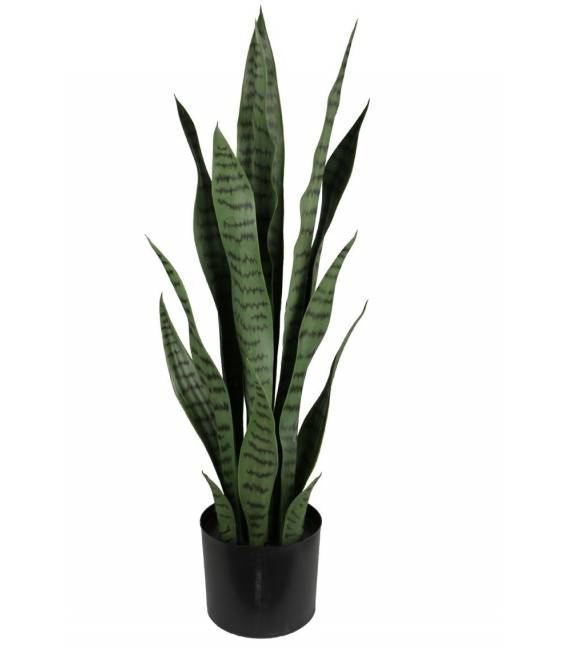 Dirbtinis augalas SANSEVIERIA 12x75 žalias