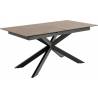 Išskleidžiamas stalas 22563 168(210)x90 rudas