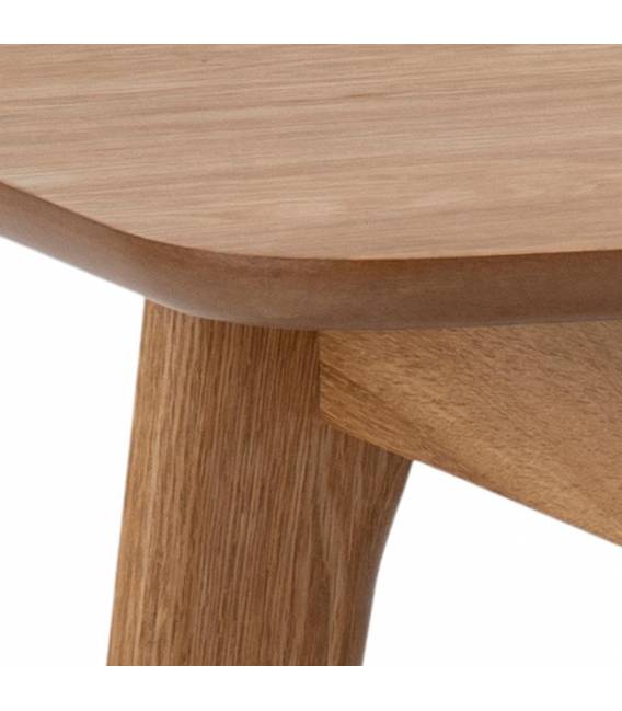 Darbo stalas 107926 105x45 rudas