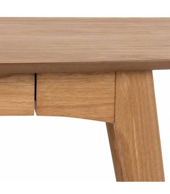 Darbo stalas 107926 105x45 rudas