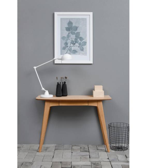 Darbo stalas 107926 105x45 rudas