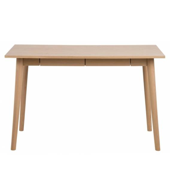 Darbo stalas 107971 120x60 rudas