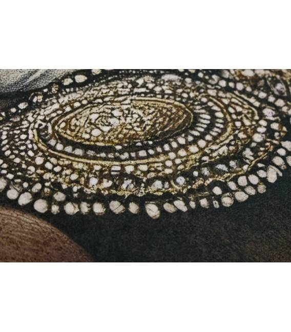 Paveikslas VELVET AFRICANA-B 83x123 rusvas