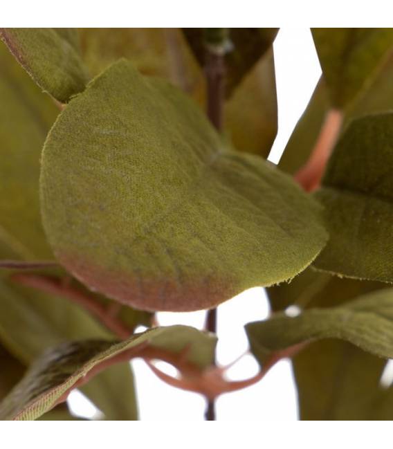 Dirbtinis augalas FICUS 12x38 žalias