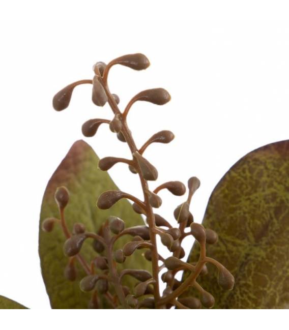 Dirbtinis augalas FICUS 12x38 žalias