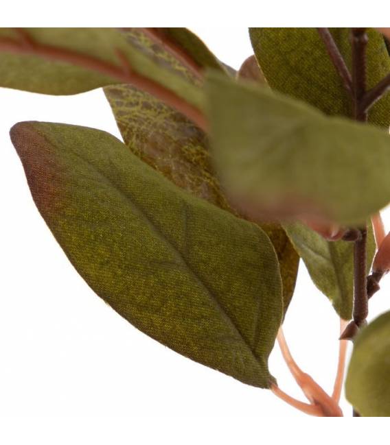 Dirbtinis augalas FICUS 12x38 žalias