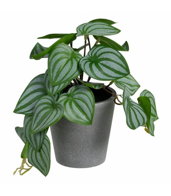 Dirbtinis augalas JERO 25x21 žalias